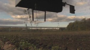 Свеклоуборочный комбайн Колнаг уборка сахарной свеклы на профессиональном уровне.mp4