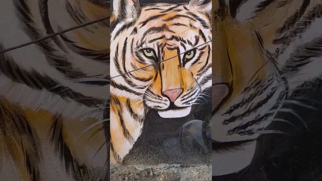 Tiger Drawing || Tiger Drawing With oil paints || Tiger #shortvideo #art #drawing #viral #trending