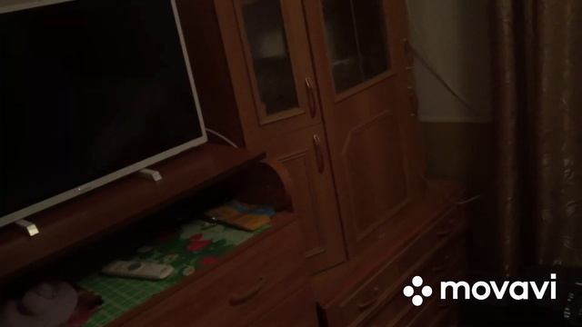 Проращиваем пшеницу для кур/подарок Маме