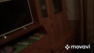 Проращиваем пшеницу для кур/подарок Маме