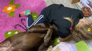 Лабрадор и дети. Лабрадор и ребёнок. Лабрадор в квартире