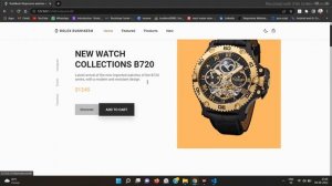 1AW Rolax Watch Responsive Website Pure HTML CSS SASS JavaScript jQuary with Animations and Effects