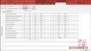 Фильтр в отчетах Access