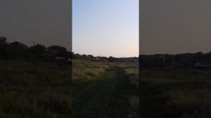 учусь ездить на альфе в 13 лет