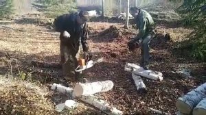 STIHL  MS 361 vs Husqvarna 372xp