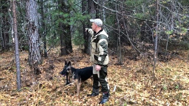 Огромное спасибо всем Поисковикам которые смотрят меня!первая серия! смотреть онлайн