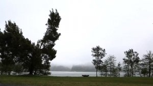 С ТЕЩЕЙ В КИНОТЕАТРЕ. История с зятем и тещей. Теща и зять. История из жизни. Интересные истории.