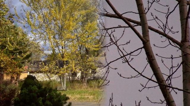 Autumn Dreams - A Photographic Journey Through The Season смотреть онлайн