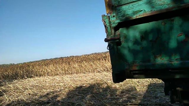 17.09.20 Молотимо соняшник - 29,5 ц/га - Центральна Полтавщина смотреть онлайн