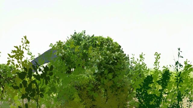 Fishing with Carptex смотреть онлайн