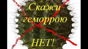 рецепт от геморроя