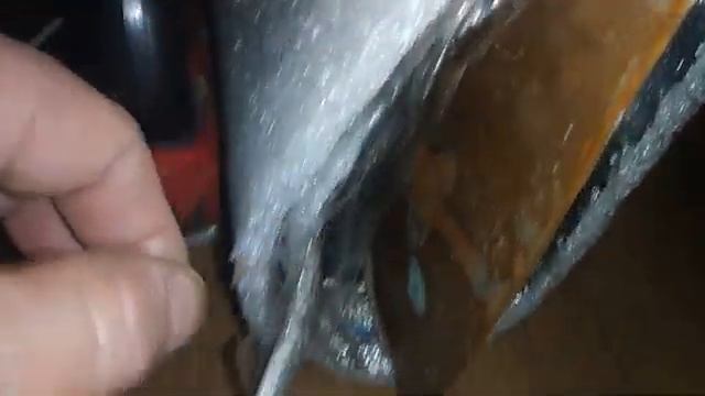 Плёночный обогреватель. Что будет, если... смотреть онлайн