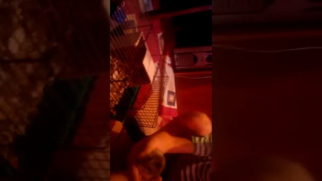 Злая хомячиха смотреть онлайн