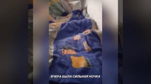 Андрэ Боярский  Домашний выпуск ))) #чиназес #боярка #memes