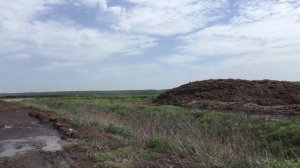 Crow Hunting 2021. Майский Ассорти 2. Гнезда и Покос. Кроухантинг. Джек Хантер.