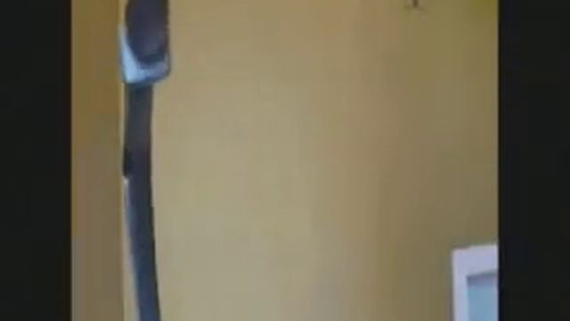 HOW TO HANG A SHELF Desktop смотреть онлайн