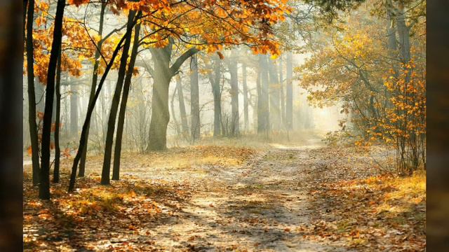 Вірші для дітей👫 МАРКО ВОВЧОК 🍁🍂🍃ІДЕ ОСІНЬ🌸
