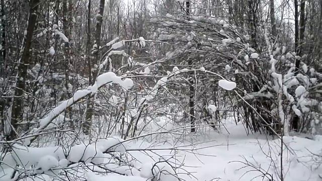 охота на зайца беляка с гончими смотреть онлайн