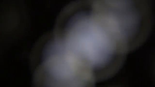 Новогодний лазерный проектор Christmas смотреть онлайн