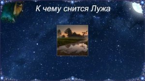 К чему снится Лужа (Сонник)