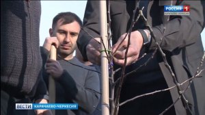 Рашид Темрезов осмотрел новые фруктовые сады Адыге-Хабльского района