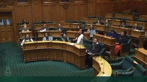Просто выступление депутатки в парламенте Новой Зеландии.