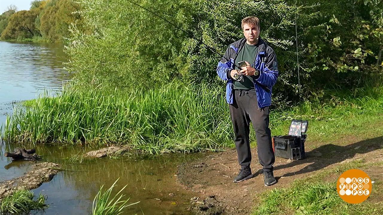 Рыбное место: что скажет эхолот? Доброе утро. Фрагмент выпуска от 13.10.2023