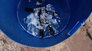 Запускаю в пруд веслоноса. Для чего нужен веслонос в пруду?