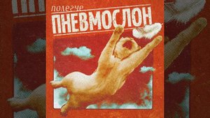 Хотел починить, но доломал