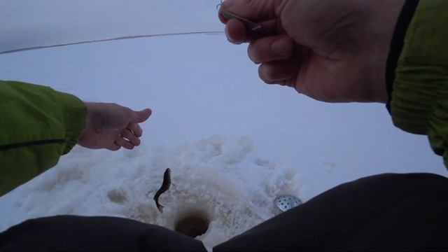 ЛАДОГА ОКУНЬ ЗИМА