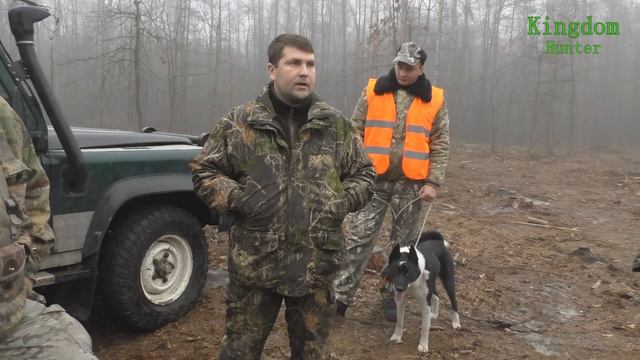 Охота на косулю и кабана Часть 1: Выезд и первый загон. смотреть онлайн