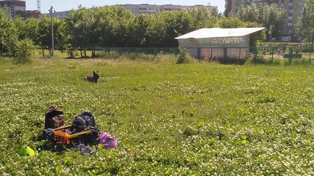 Тренировка Лена и Гай смотреть онлайн