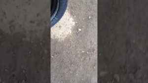 Запаска Touareg