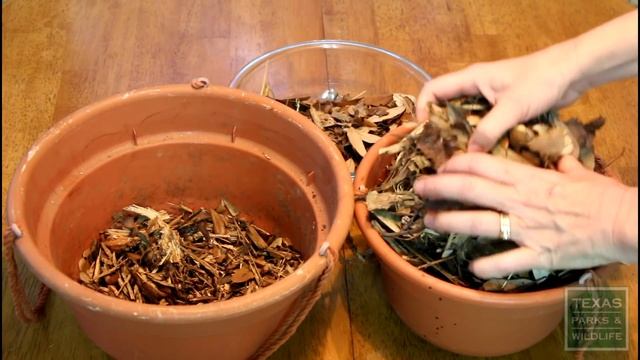 What To Do If You Find A Baby Bird смотреть онлайн