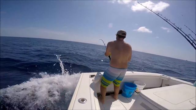 Costa Rica - Blue Marlin Blues - Christmas 2015 смотреть онлайн