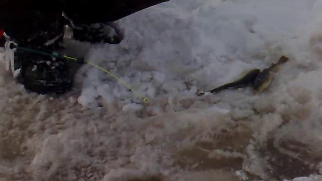 Лов наваги в Белом море , устье реки Вейга часть 2 смотреть онлайн