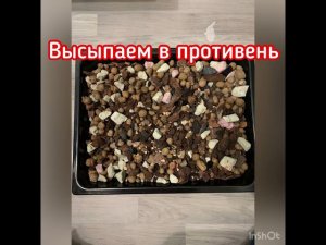 Повторное использование грунта для орхидей