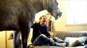 КОНЬ В ПАЛЬТО. РАЗГАДКА НАЙДЕНА!