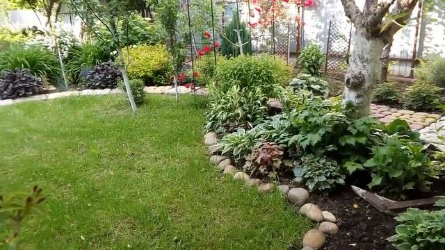 Дача в цвету/Зимой не хватает красоты... смотреть онлайн