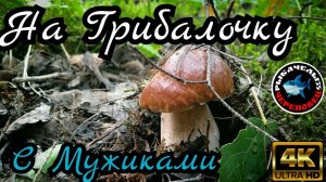 "ГрибаЧелы35" Поход в лес с мужиками за грибочками!!!  Грибалочка 2021в 4к!!!