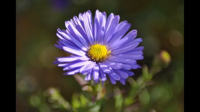 5-7-8-0 Крепкий и здоровый сон, Breathing sound and healthy sleep. смотреть онлайн