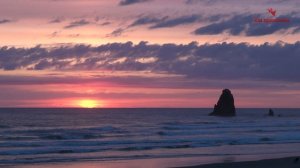 Молитва злопамятного – сеяние на камне - Никон (Воробьев) - Избранные письма (110-122)