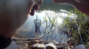 Осенний фидер на реке Северский Донец