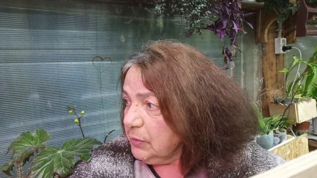 Где взять энергию? И как сохранить баланс жизненной энергии?