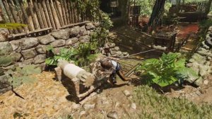 Shadow of the Tomb Raider. Тайный город, дополнительные задания. Русло реки. Прохождение. Часть 4