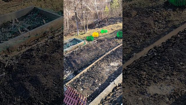 Весна 20.04.2024 г.