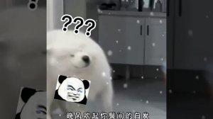 Видео от Мемный мем