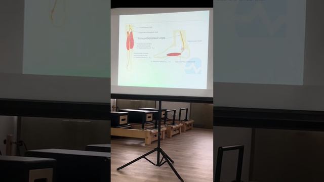 Стопа. Перекос таза функциональный. Слабость грушевидной смотреть онлайн