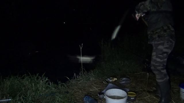 ФИДЕР и ДОНКИ!!! Рыбалка с ночевкой. смотреть онлайн