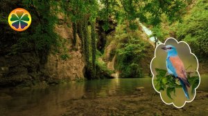 Расслабляющий ШУМ ЛЕСНОГО ВОДОПАДА Пение птиц Звуки природы